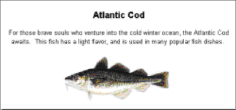 Atlantis Species
